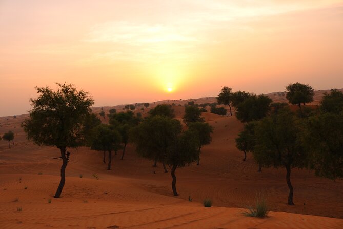 Hot Air Balloon Adventure Ride in Dubai with Hotel Pick up & drop - A 4:00 am start for Dubai’s quietest hour