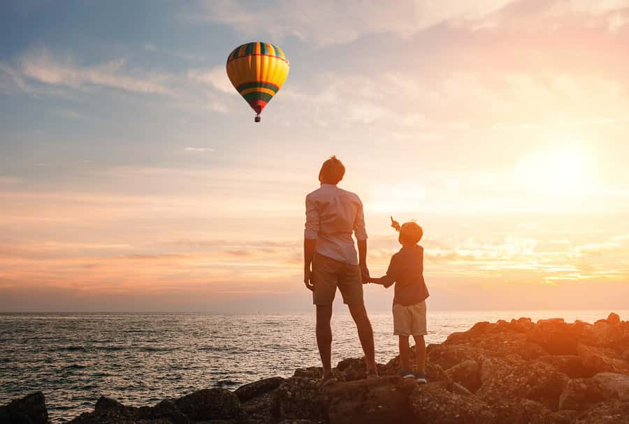 Hot air Balloon and Cape Winelands Private guided tour - Key points at a glance