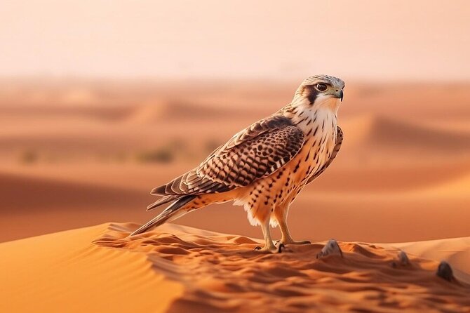 Hot air Balloon Dubai Magical Morning Without Breakfast - What is included, and what is not