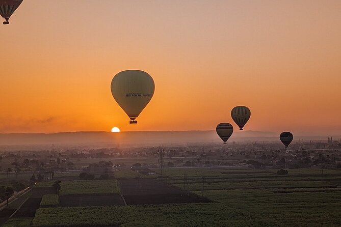Hot Air Balloon Experience in Luxor with Pickup and Drop-off - Takeoff over Luxor’s ancient monuments