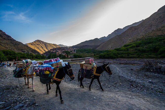 Hot Air Balloon Experience in Marrakech - Key points to know before booking