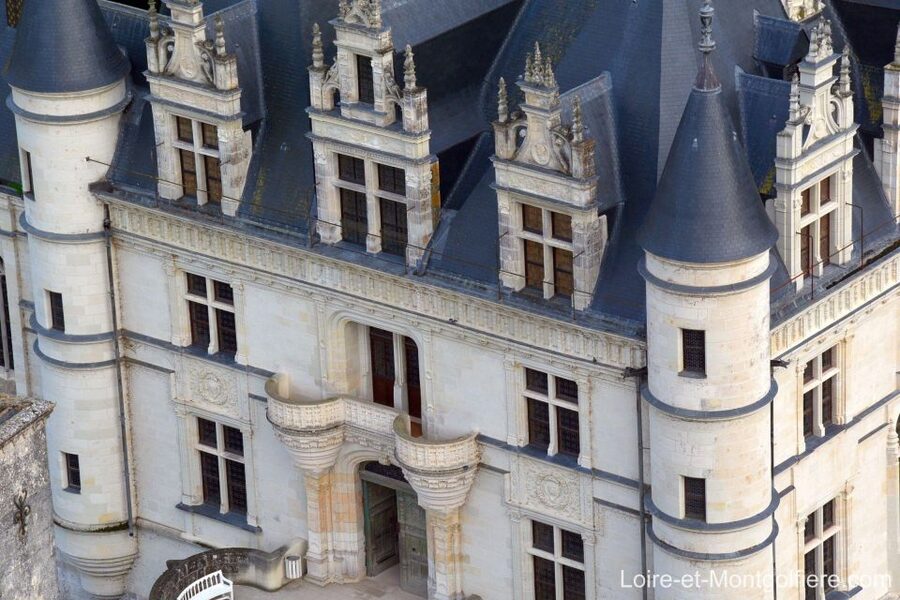 Hot Air Balloon Flight above the Castle of Chenonceau - Why Chenonceau looks so special from a balloon