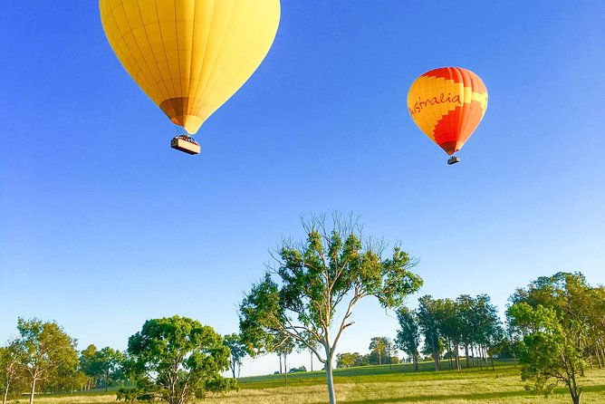 Hot Air Balloon Flight Brisbane with Vineyard Breakfast - What is included for $355.04?