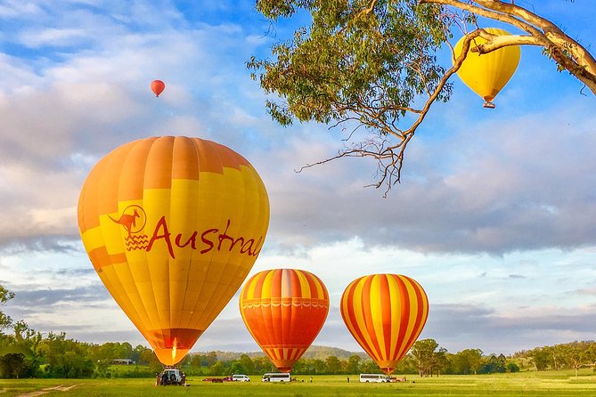 Hot Air Balloon Flight Brisbane with Vineyard Breakfast - Helping with the balloon after landing