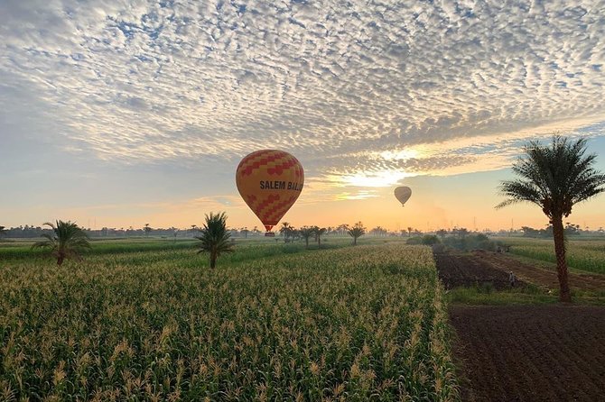 Hot Air Balloon Ride and Tour to Valley of Kings Luxor- Special Offer - Who should book this Luxor experience