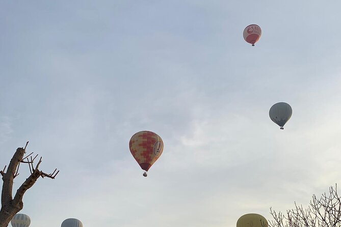 Hot Air Balloon Ride Cappadocia Goreme & Champagne party - Is $115 a fair price?
