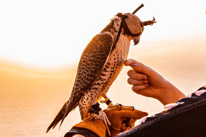 Hot Air Balloon Ride & In-flight Falcon Show including Transfers - Sunrise over the Dubai desert