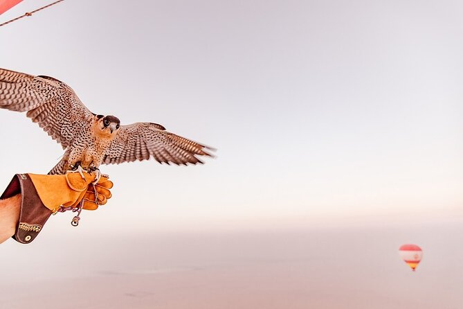 Hot Air Balloon Ride & In-flight Falcon Show including Transfers - Who should book this experience?