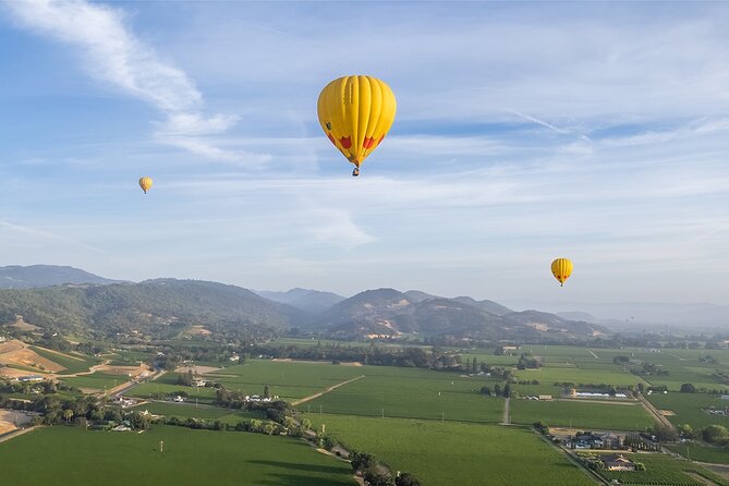 Hot Air Balloon Rides in Napa Valley - Key Points Before You Book
