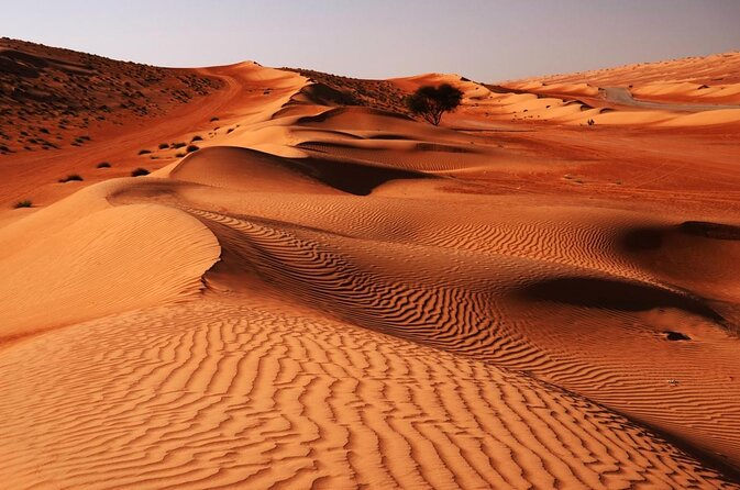 Hot Air Balloon Tour at Wahiba Sands - Key points before you book