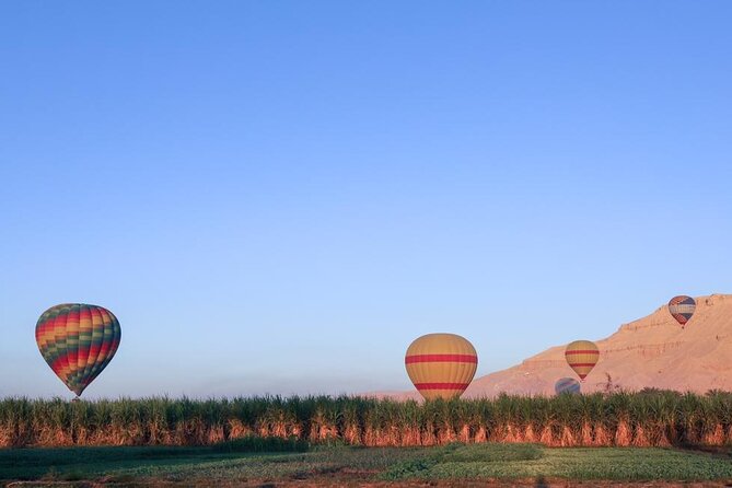 Hot Air Balloon Tour in Luxor - Getting ready at the Luxor launch site