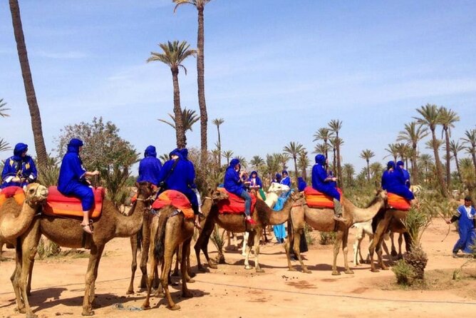 Hot air balloon with breakfast in Marrakech - Comfort, safety, and the small group size