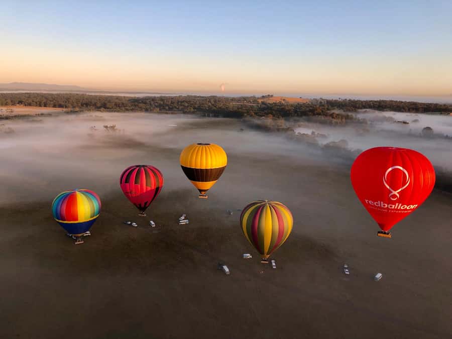 Hunter Valley: Sunrise Balloon Ride with Bubbly Breakfast - The flight over Pokolbin, Lovedale, and Rothbury
