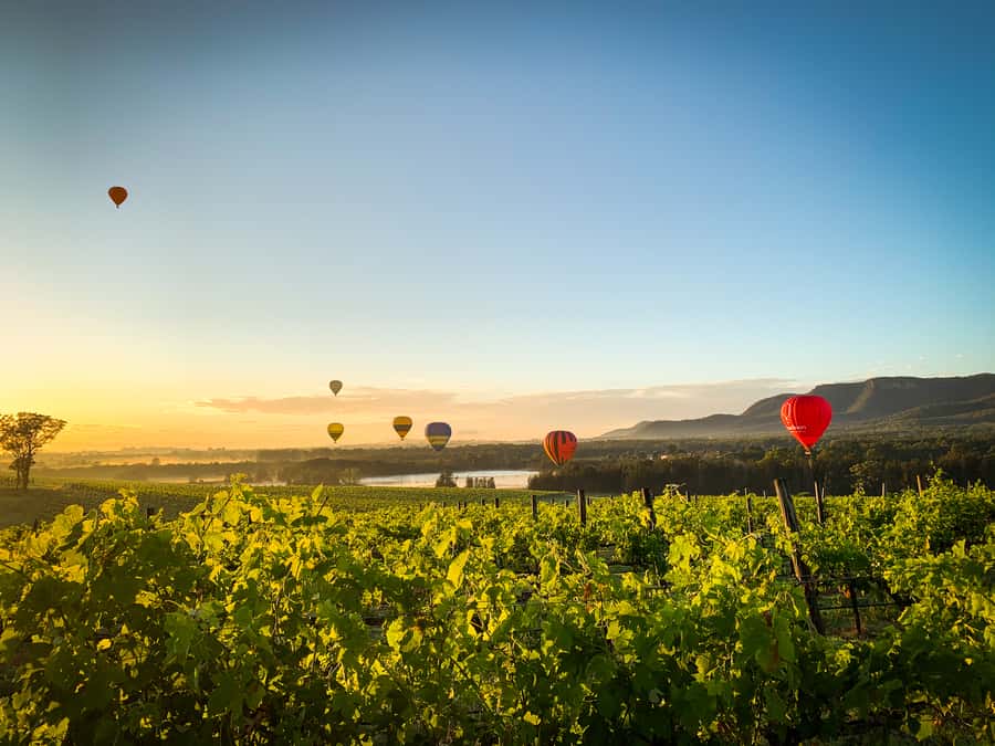 Hunter Valley: Sunrise Balloon Ride with Bubbly Breakfast - Breakfast and sparkling wine at Peterson House