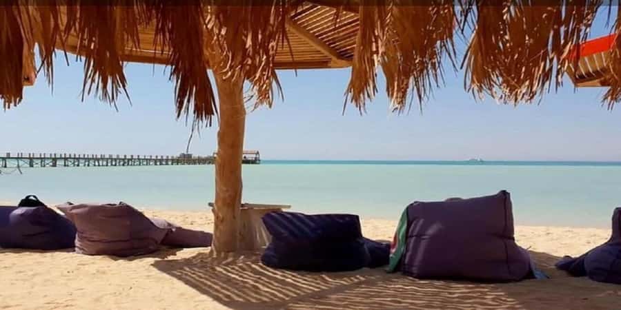 Hurghada:10-Day Egypt Tour, Nile Cruise, Balloon, Flights - Day 8 and Day 9: Cairo, then an unusual safari park