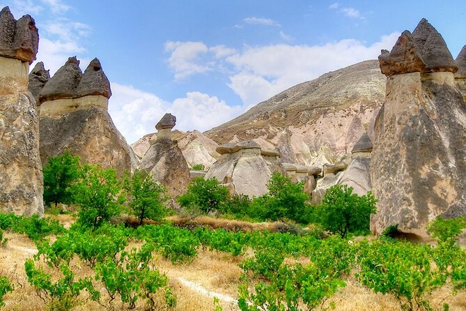 Istanbul & Cappadocia Trip Including Balloon Tour & ATV Quad Tour - What the price includes, and what it does not