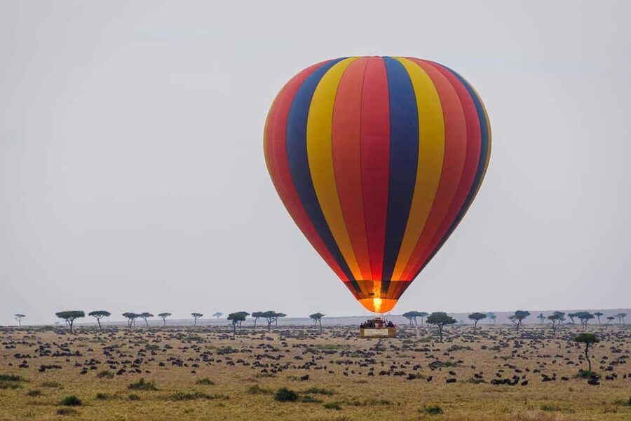 Johannesburg: Hot Air Balloon Flight - One hour above the Magaliesberg range