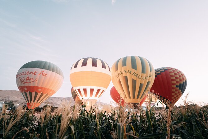 Luxury Balloon Ride in Luxor with Hotels Pickup - Landing, certificate, snacks, and the ride back