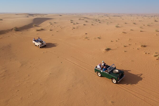 Luxury Hot Air Balloon, Land Rover Defender & Michelin Breakfast - Falcons flying beside the balloon