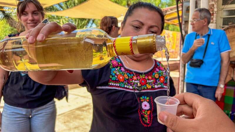 Mexico City: Balloon Flight, Teotihuacan & Guadalupe Shrine - The obsidian workshop and tequila tasting