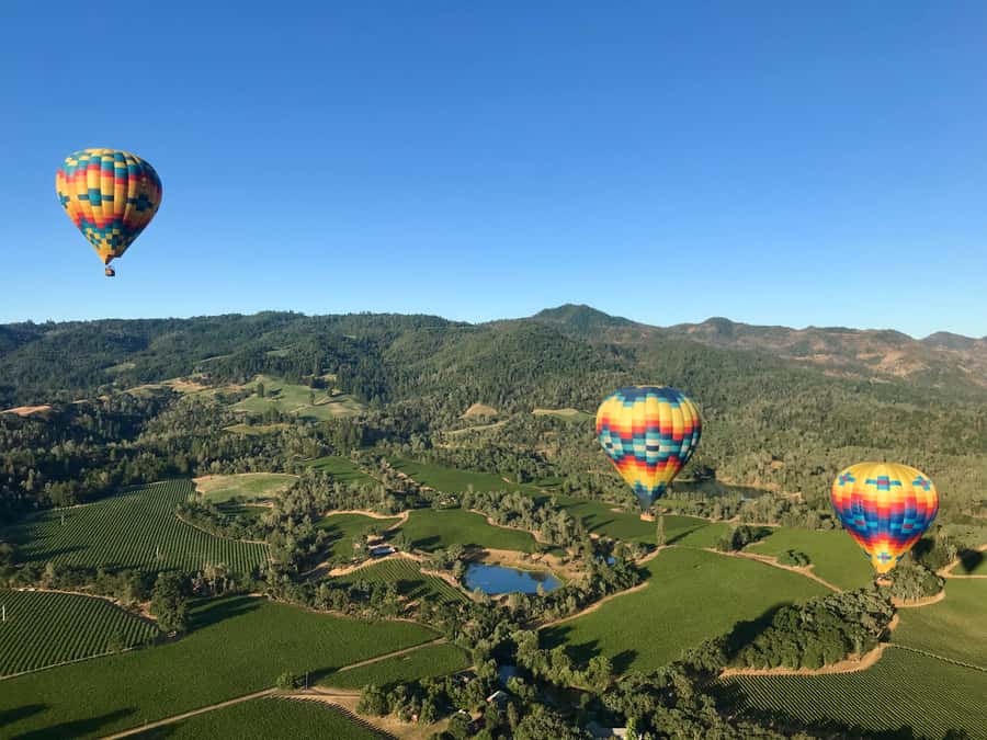 Napa Valley: Hot Air Balloon Adventure - Why the sunrise timing matters