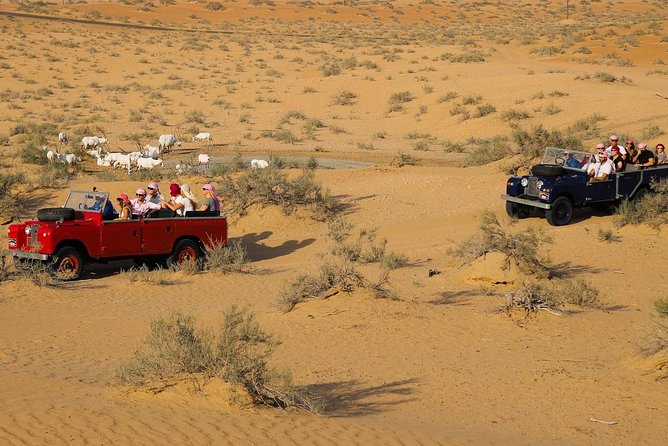Overnight Safari and Sunrise Hot-Air Balloon Ride - Sleeping in a stone-walled desert room