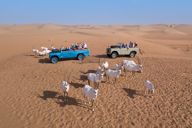 Overnight Safari and Sunrise Hot-Air Balloon Ride - The sunrise hot-air balloon flight