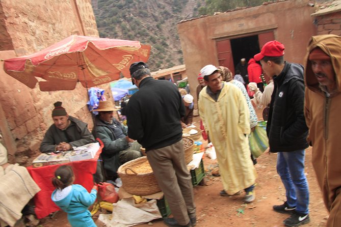 Pick an outdoor Activity: Balloons, QUAD, Camel Ride, Sahara Trip - The best parts, and the compromises