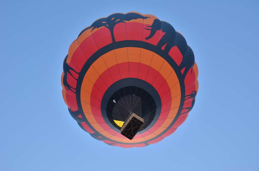 Pilanesberg National Park/Sun City Hot Air Balloon Safari - An early start from Sun City or Pilanesberg