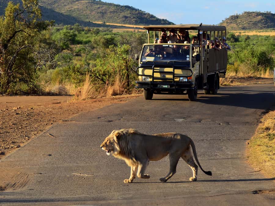 Pilanesberg National Park/Sun City Hot Air Balloon Safari - How long should you allow?
