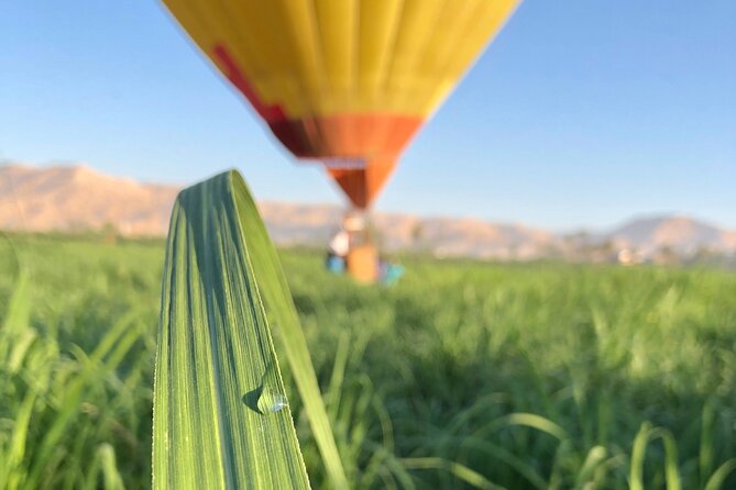 PRIVATE HOT AIR BALLOON IN LUXOR RIDE IN SMALL LUXURY GROUP FLIGHT up to 12 - The 6:00 a.m. start and private pickup