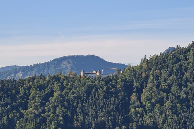 Private Tour of Lake Tegernsee with optional Hot Air Balloon Ride - The optional hot air balloon flight