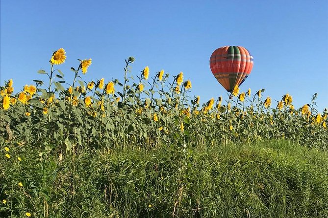Professional hot air balloon rides at Assisi, Trasimeno in Umbria - Landing, packing, and the return to the winery