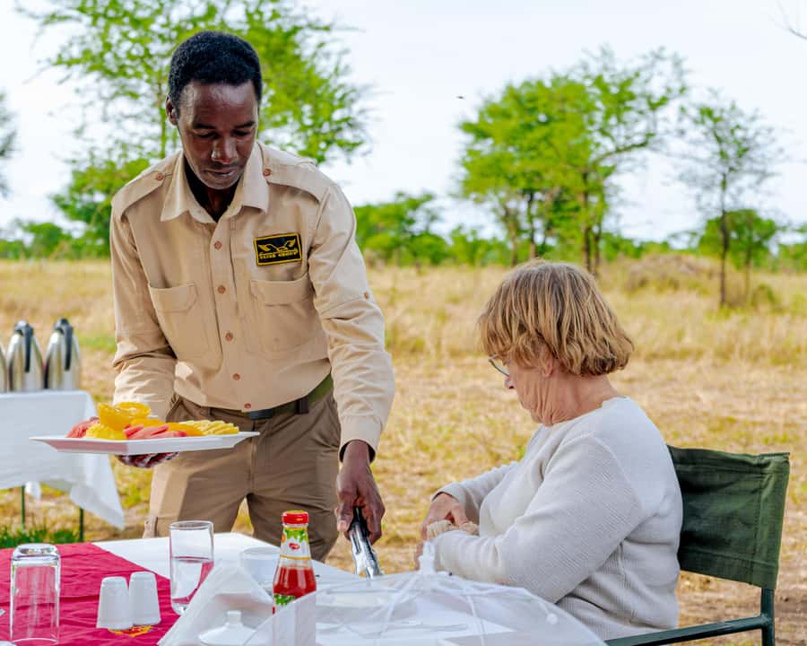Serengeti Balloon Ride and Luxury Bush Breakfast - What $550 buys you