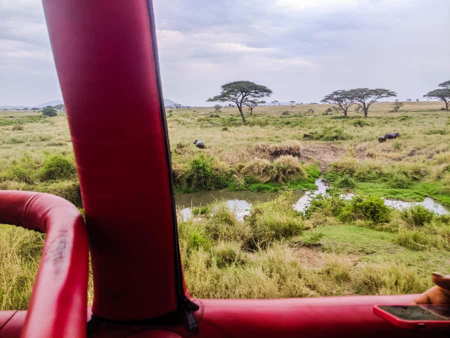 Serengeti Balloon Ride and Luxury Bush Breakfast - Who will enjoy this most