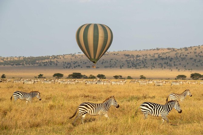 Serengeti Balloon Safari and authentic bush breakfast - Choosing the right flying area and season