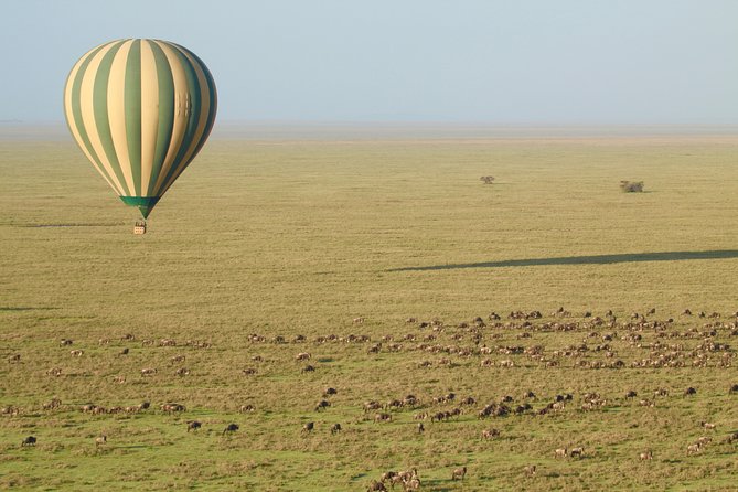 Serengeti Balloon Safari and authentic bush breakfast - Who will get the most from this $550 experience?