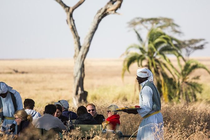 Serengeti Balloon Safari and authentic bush breakfast - Should you book the Serengeti balloon safari?