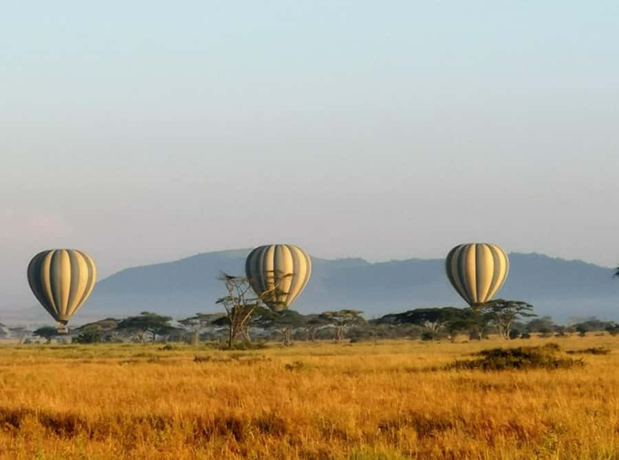 Serengeti: Hot Air Balloon Flight with Champagne Breakfast - Should You Book the Serengeti Balloon Flight?