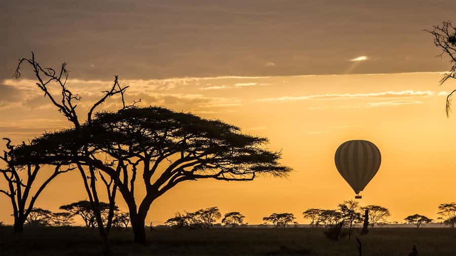 Serengeti National Park: Balloon Safari at Dawn - Breakfast beneath an acacia tree