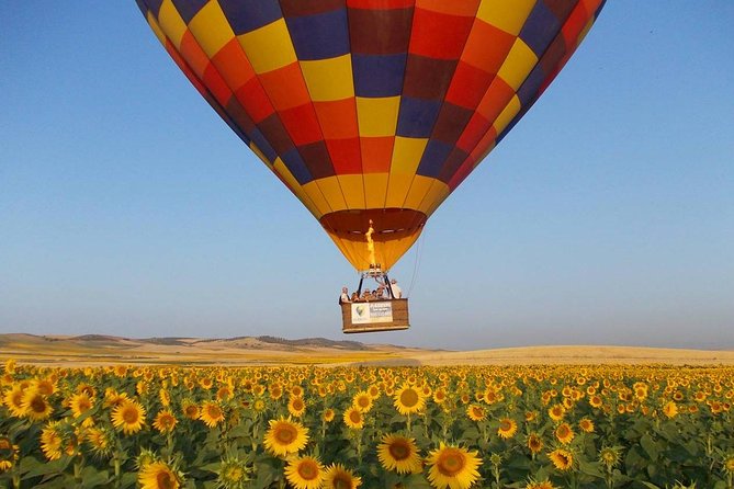 Seville Hot-Air Balloon Ride with Breakfast, Cava & Hotel Pick up - Key points before you book