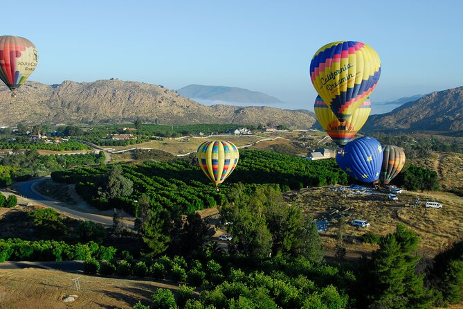 Skyward at Sunrise: A Premiere Temecula Balloon Adventure - Vineyard views from 1,500 feet