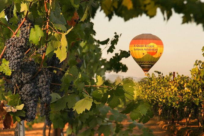 Sunrise Hot Air Balloon Flight over the Temecula Wine Country - What makes this Temecula balloon flight special