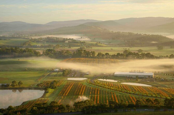 Sunrise Hot Air Balloon Flight over Yarra Valley + Breakfast - Preparing the balloon and taking off