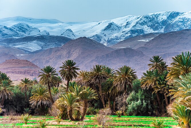 Sunrise Hot Air Balloon Ride Over Marrakech with Hotel Pickup - The long return through Ouarzazate and the Draa Valley