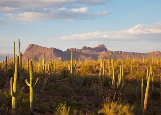 Sunrise Sonoran Desert Hot Air Balloon Ride from Phoenix - Key points to know before you book