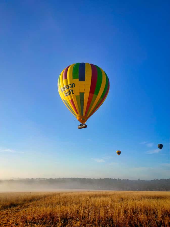 Sydney: Hunter Valley Sunrise Balloon Flight with Transfer - A 45 to 60-minute flight over the wine region