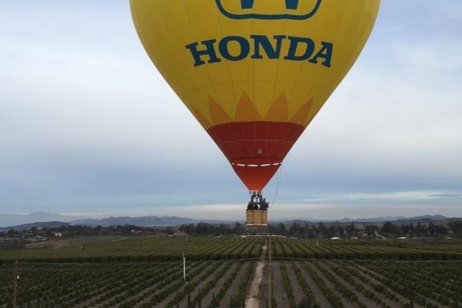 Temecula Shared Hot Air Balloon Ride - Breakfast, champagne, and the post-flight celebration