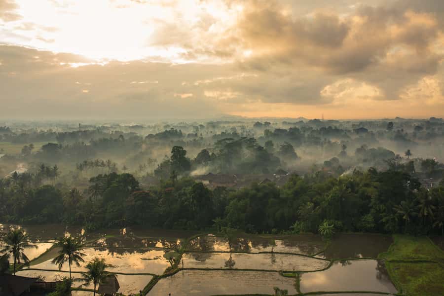 Ubud: Hot Air Balloon Experience - The meals add real value