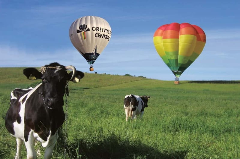 Vilnius or Trakai: Hot Air Balloon Flight - Hotel transfers and meeting points